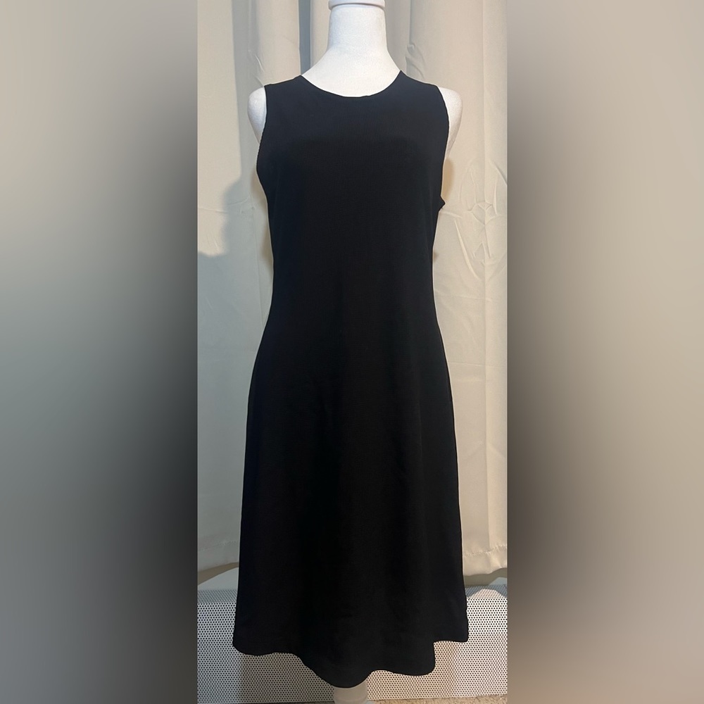 Petite Sophisticate Vintage Sleeveless Stretch Dress - Picture 1 of 4